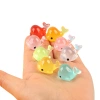 Trang trí hồ cá mini: sinh vật biển, cây mini, sen đá – Giá chỉ 2.000đ 5