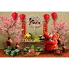 Tranh vải decor Tết 2.026 Phông vải xưa, trang trí Tết nguyên đán, giảm còn 275.000₫ 9