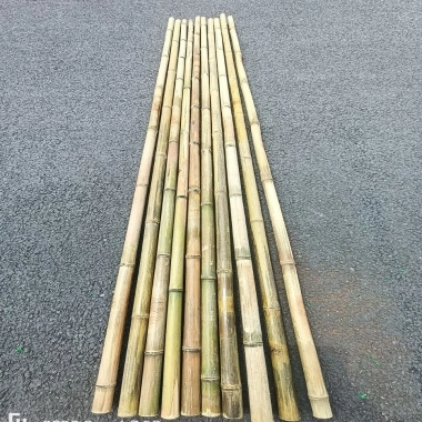 Tre trúc lớn combo 10 cây - Cán cờ 1m‑2m, hàng rào, banner ốp tường, chỉ 125.000đ
