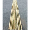 Tre trúc lớn combo 10 cây - Cán cờ 1m‑2m, hàng rào, banner ốp tường, chỉ 125.000đ 3