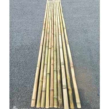 Tre trúc lớn combo 10 cây - Cán cờ 1m‑2m, hàng rào, banner ốp tường, chỉ 125.000đ 3 Tre trúc lớn combo 10 cây - Cán cờ 1m‑2m, hàng rào, banner ốp tường, chỉ 125.000đ 3