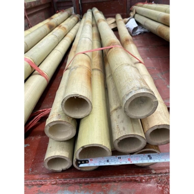 Tre trúc lớn combo 10 cây - Cán cờ 1m‑2m, hàng rào, banner ốp tường, chỉ 125.000đ