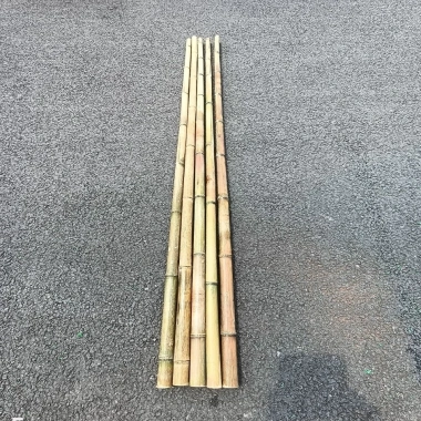Tre trúc lớn combo 10 cây - Cán cờ 1m‑2m, hàng rào, banner ốp tường, chỉ 125.000đ