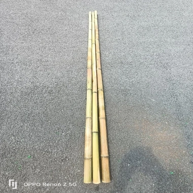Tre trúc lớn combo 10 cây - Cán cờ 1m‑2m, hàng rào, banner ốp tường, chỉ 125.000đ