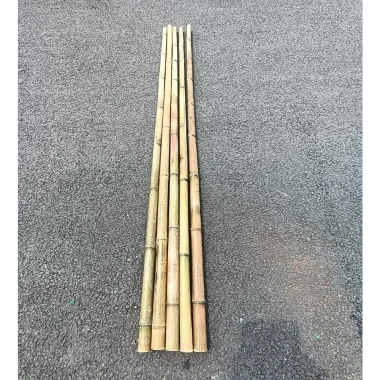 Tre trúc lớn combo 10 cây - Cán cờ 1m‑2m, hàng rào, banner ốp tường, chỉ 125.000đ