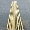 Tre trúc lớn combo 10 cây - Cán cờ 1m‑2m, hàng rào, banner ốp tường, chỉ 125.000đ 10
