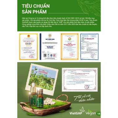 Treo xe tinh dầu Chanh nguyên chất Hoa Nén 8ml - Thơm dịu, khử mùi, giảm say xe - 120.000đ 9 Treo xe tinh dầu Chanh nguyên chất Hoa Nén 8ml - Thơm dịu, khử mùi, giảm say xe - 120.000đ 9