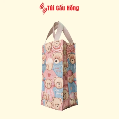 Túi Đựng Bình Giữ Nhiệt Baol 1.000-1.500ml Simili In - Chống Thấm, Giá 60k 7