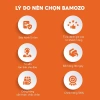 Túi Đựng Giày Dép Du Lịch Dây Rút Bamozo - Chống Thấm, Chống Bụi, Giá 15.000 VNĐ 7