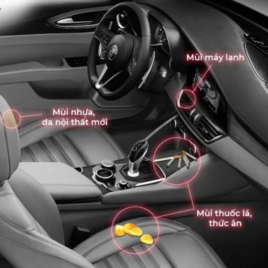 Túi Khử Mùi Ô Tô Enso – Khử mùi nội thất, lọc không khí, không gây say xe, 139k 3