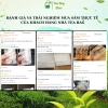 Túi nylon hoa hồng đựng bánh hàn nhiệt Tea Bag, trong suốt in hoa, handmade cho cookies và trà - 15.000₫ 9