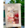 Túi Set Quà Tặng Gấu Bông, Hoa, Thiệp, Đèn LED Valentine 14/2 - 8/3 Noel - Sinh Nhật - Chỉ 125.400₫ 2