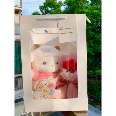Túi Set Quà Tặng Gấu Bông, Hoa, Thiệp, Đèn LED Valentine 14/2 - 8/3 Noel - Sinh Nhật - Chỉ 125.400₫