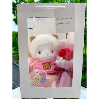 Túi Set Quà Tặng Gấu Bông, Hoa, Thiệp, Đèn LED Valentine 14/2 - 8/3 Noel - Sinh Nhật - Chỉ 125.400₫