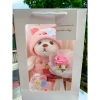Túi Set Quà Tặng Gấu Bông, Hoa, Thiệp, Đèn LED Valentine 14/2 - 8/3 Noel - Sinh Nhật - Chỉ 125.400₫ 8