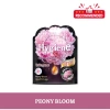 Túi thơm đen Hygen treo xe, phòng ngủ, tủ quần áo, hương nước hoa ngào ngạt 29.000₫ 8