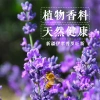 Túi thơm oải hương Lavender 18.000đ – khử mùi, đuổi muỗi, treo phòng, xe hơi, tủ áo 6