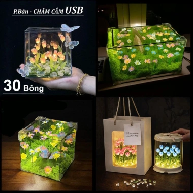 Túi và Thiệp Hộp Đèn Ngủ Hoa Tulip 12cm Hình Vuông - Quà Valentine, Sinh Nhật 14/2