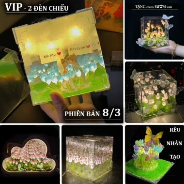 Túi và Thiệp Hộp Đèn Ngủ Hoa Tulip 12cm Hình Vuông - Quà Valentine, Sinh Nhật 14/2