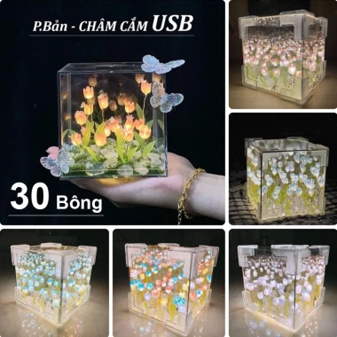 Túi và Thiệp Hộp Đèn Ngủ Hoa Tulip 12cm Hình Vuông - Quà Valentine, Sinh Nhật 14/2