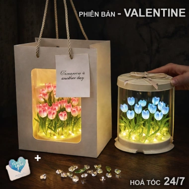 Túi và Thiệp Hộp Đèn Ngủ Hoa Tulip 12cm Hình Vuông - Quà Valentine, Sinh Nhật 14/2 10 Túi và Thiệp Hộp Đèn Ngủ Hoa Tulip 12cm Hình Vuông - Quà Valentine, Sinh Nhật 14/2 10