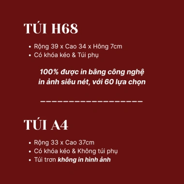 Túi xách nữ canvas tote có khóa kéo, ngăn phụ thời trang Handiro 35.000₫ 9