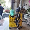 Vali kéo Vịt B.Duck chính hãng cho bé trai, bé gái - Size 20-24 inch, giảm giá