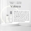 Valida FS.36 Nước Hoa Nữ Auth 100% – Hương Xạ Hương Siêu Gợi Cảm, Siêu Cuốn, Giá Ưu Đãi 101.760₫ 6