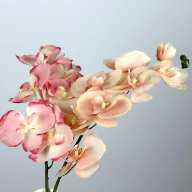 VANTAS Hoa nhân tạo Lan Phalaenopsis 70cm - Vải lụa, dây sắt, bó hoa nội thất 3 VANTAS Hoa nhân tạo Lan Phalaenopsis 70cm - Vải lụa, dây sắt, bó hoa nội thất 3