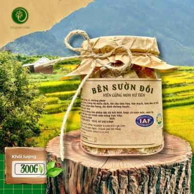 Viên gừng non hủ 300g thơm cay - Nguyên chất giảm ho, say tàu xe, tăng sức đề kháng Phiên bản cao cấp chính hãng 109k