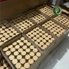 Viên gừng non hủ 300g thơm cay - Nguyên chất giảm ho, say tàu xe, tăng sức đề kháng Phiên bản cao cấp chính hãng 109k 4
