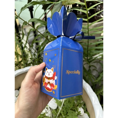 Vỏ hộp kẹo nơ Tết 2.025 - Qùa tặng tem chữ Tết, hộp mèo thần tài, chỉ 3.000đ 10 Vỏ hộp kẹo nơ Tết 2.025 - Qùa tặng tem chữ Tết, hộp mèo thần tài, chỉ 3.000đ 10