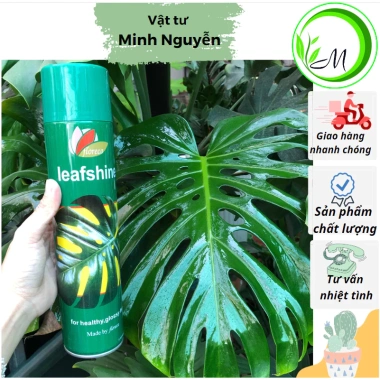 Xịt bóng lá 1 chai - Giữ ẩm cho cây Lan, hồ điệp, cây văn phòng - Giá chỉ 59.860₫ 2