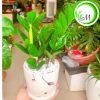 Xịt bóng lá 1 chai - Giữ ẩm cho cây Lan, hồ điệp, cây văn phòng - Giá chỉ 59.860₫ 7