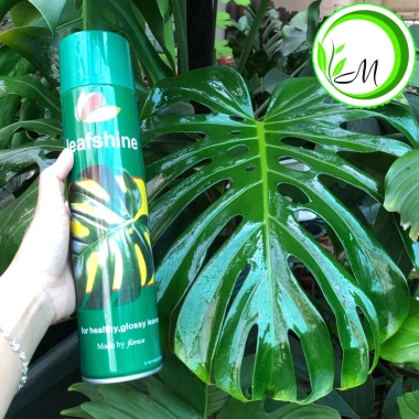 Xịt bóng lá 1 chai - Giữ ẩm cho cây Lan, hồ điệp, cây văn phòng - Giá chỉ 59.860₫ 8