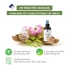 Xịt Chống Muỗi Côn Trùng Thảo Mộc ECOCARE 50ml - Tự Nhiên, An Toàn, Giá Ưu Đãi 3