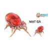 Xịt diệt ve chó mèo muỗi mạt gà – An toàn, không độc, giảm còn 55.000đ (giá gốc 71.500đ) 2