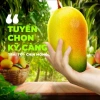 Xoài Sấy Dẻo Ít Đường 500g FreeShip - Mẹ Rô Food, Giá 65k, Đổi Hàng Khi Bị Sợ 4