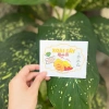 XOÀI SẤY MUỐI ỚT 50 TEM 7x9.6CM - Giá chỉ 49.000₫, giảm mạnh, hương vị cay đậm 3