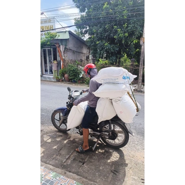 Nhờ sử dụng nếp cái hoa vàng loại 1 dẻo, bánh xôi trong công thức trên sẽ có độ dẻo vừa phải, không rách khi nắm, đồng thời giữ được vị nguyên chất của các nguyên liệu phụ. (Ảnh 5) Nhờ sử dụng nếp cái hoa vàng loại 1 dẻo, bánh xôi trong công thức trên sẽ có độ dẻo vừa phải, không rách khi nắm, đồng thời giữ được vị nguyên chất của các nguyên liệu phụ. (Ảnh 5)