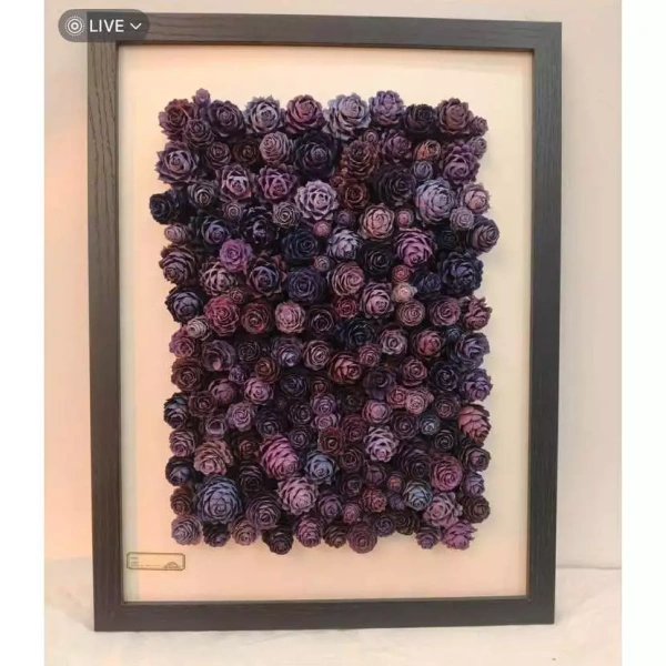 Chi tiết lãng quên trong tranh handmade từ quả thông khô có thể thay đổi cảm giác ấm cúng của không gian sống - Ảnh 1 Chi tiết lãng quên trong tranh handmade từ quả thông khô có thể thay đổi cảm giác ấm cúng của không gian sống - Ảnh 1