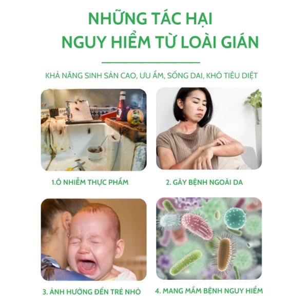 Một ví dụ thực tế: Khi sử dụng Thuốc diệt gián sinh học AMB diệt tận gốc tất cả các loại gián an toàn, hiệu quả, người dùng nên pha dung dịch với tỉ lệ được nhà sản xuất khuyến nghị (ví dụ 5ml thuốc trong 1 lít nước), sau đó phun nhẹ nhàng lên các khu vực đã được làm sạch. (Ảnh 3) Một ví dụ thực tế: Khi sử dụng Thuốc diệt gián sinh học AMB diệt tận gốc tất cả các loại gián an toàn, hiệu quả, người dùng nên pha dung dịch với tỉ lệ được nhà sản xuất khuyến nghị (ví dụ 5ml thuốc trong 1 lít nước), sau đó phun nhẹ nhàng lên các khu vực đã được làm sạch. (Ảnh 3)
