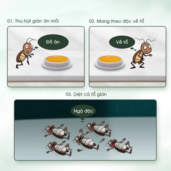 Chi tiết nhỏ khi dùng thuốc diệt gián sinh học an toàn mà nhiều người quên, có thể khiến gián lại xuất hiện - Ảnh 4 Chi tiết nhỏ khi dùng thuốc diệt gián sinh học an toàn mà nhiều người quên, có thể khiến gián lại xuất hiện - Ảnh 4