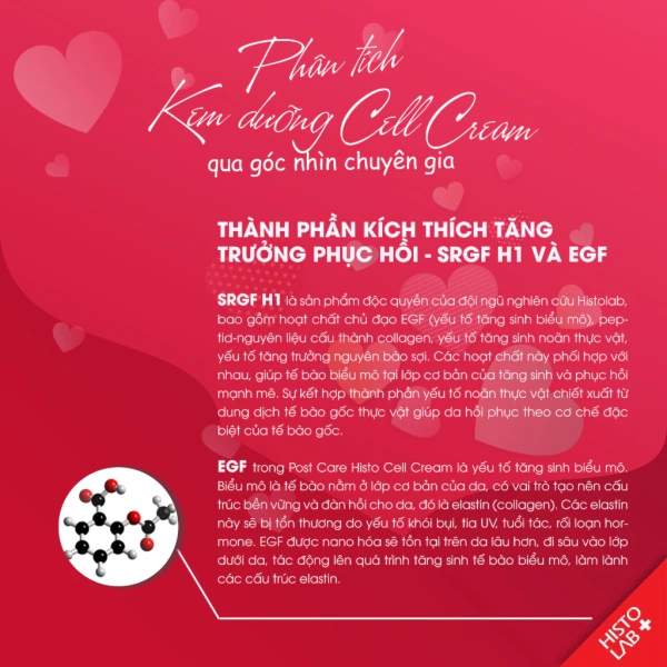 Dưới đây là bảng so sánh nhanh giữa một số nhóm kem thường gặp, giúp người đọc hình dung rõ hơn về lợi và hạn chế của mỗi loại. (Ảnh 3)