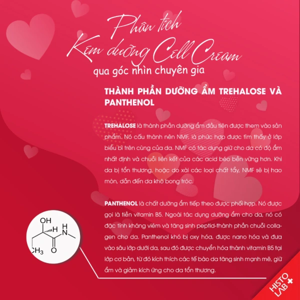 Để giảm thiểu các hậu quả sau khi da tiếp xúc với ánh nắng, không chỉ cần một loại kem duy nhất mà còn cần xây dựng một chu trình chăm sóc toàn diện. (Ảnh 5)
