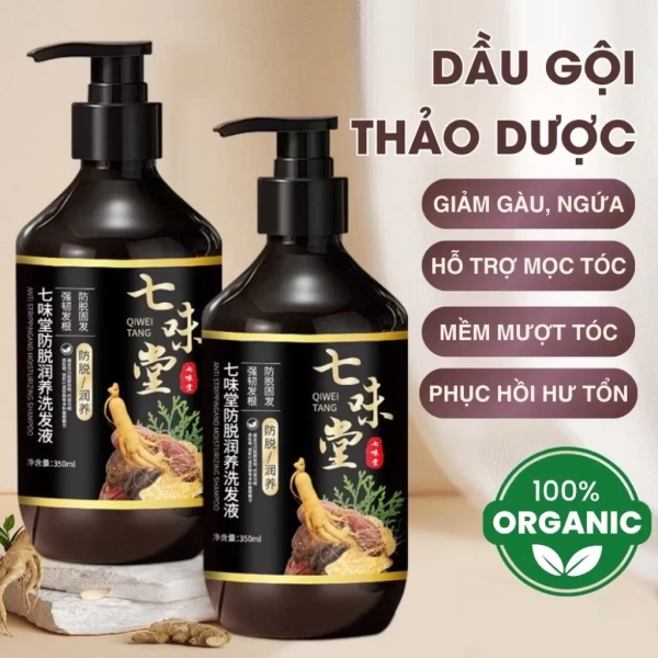 Nhân sâm (Panax ginseng) nổi tiếng với các hoạt chất chính là saponin – ginsenoside, có khả năng cải thiện tuần hoàn máu, giảm stress và cung cấp năng lượng cho các tế bào. (Ảnh 2) Nhân sâm (Panax ginseng) nổi tiếng với các hoạt chất chính là saponin – ginsenoside, có khả năng cải thiện tuần hoàn máu, giảm stress và cung cấp năng lượng cho các tế bào. (Ảnh 2)