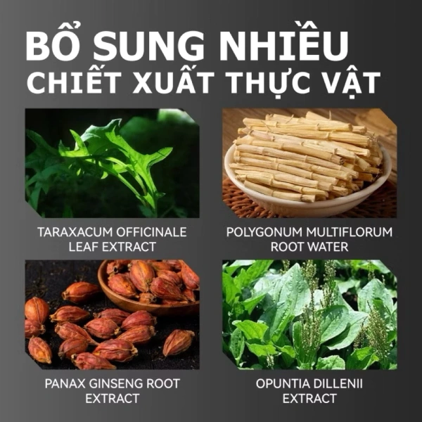 Trong số các sản phẩm hiện nay, Greenvibes Moisturizing Prostate Gel được quảng bá là hỗ trợ tuyến tiền liệt nam giới, giúp giảm mệt mỏi và giảm đau trong sinh hoạt hằng ngày. (Ảnh 3)