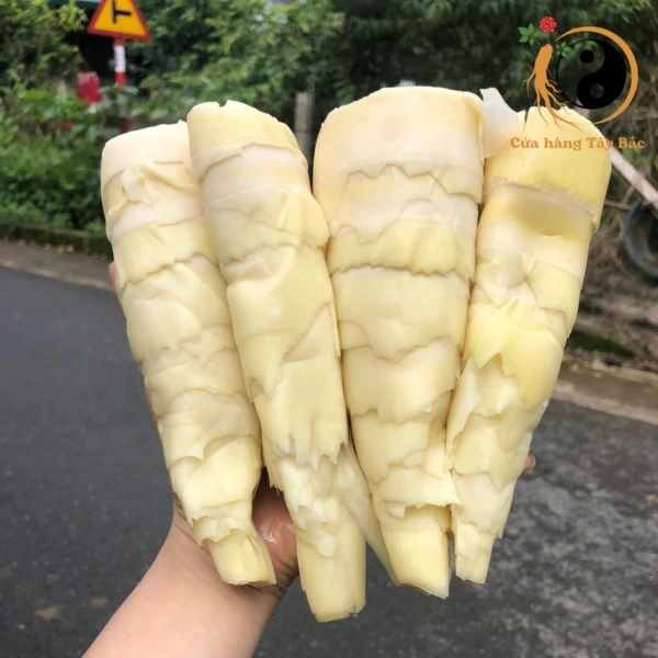 Măng nứa tươi luộc sẵn giúp giảm bớt công sức chuẩn bị bữa tối, nhưng bảo quản lại là thách thức. - Ảnh 1