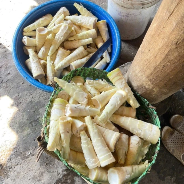 Măng nứa (hay còn gọi là măng tre, măng vầu) chứa nhiều chất xơ, vitamin B, vitamin C và khoáng chất như kali, canxi. (Ảnh 2)