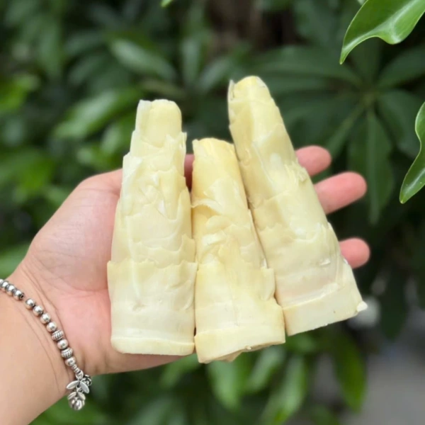 Để tối đa hoá thời gian sử dụng của măng nứa luộc sẵn, chúng ta nên quan tâm đến môi trường lưu trữ – nhiệt độ, độ ẩm và cách đóng gói. (Ảnh 3)